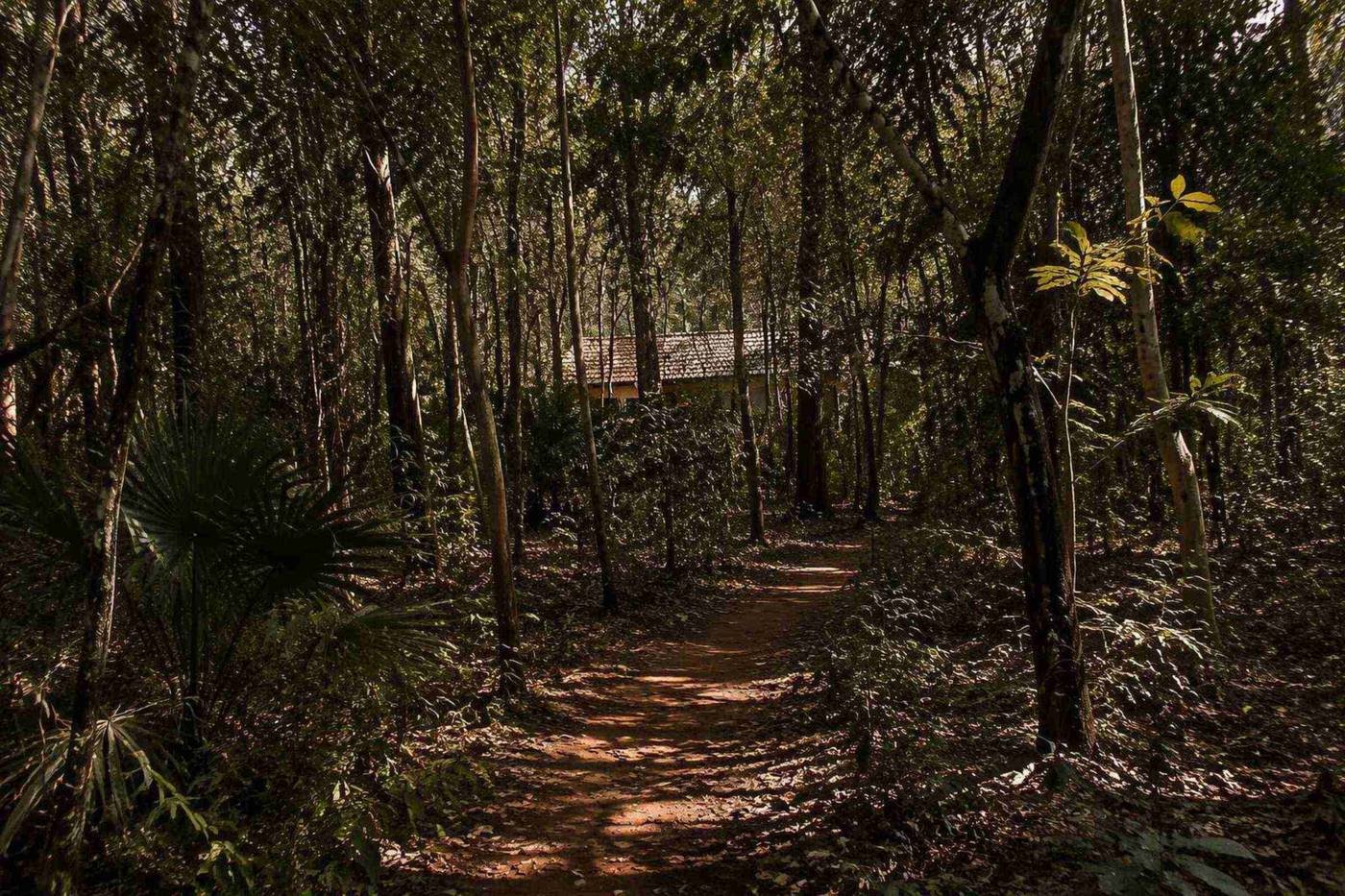 Auroville
