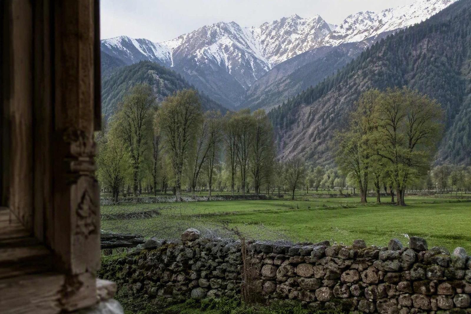 Kashmir